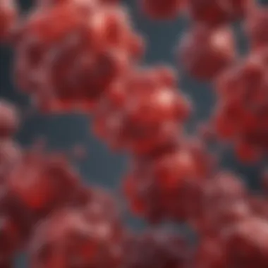 The Structure of Hemoglobin C Illustration depicting the structure of Hemoglobin C