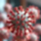 Hepatitis A virus structure illustration