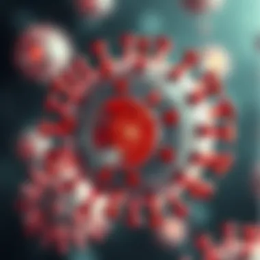 Hepatitis B virus replication cycle diagram