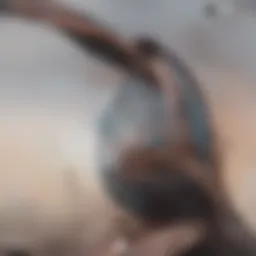 Heart illustration depicting HFrEF condition