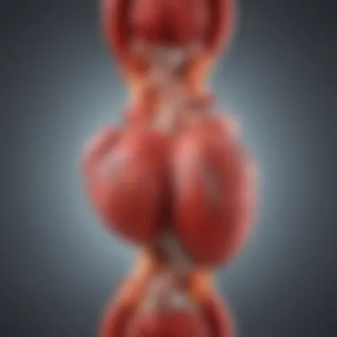 Graphical illustration showing target LDL cholesterol levels and their impact on heart health