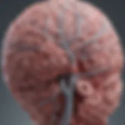 Neuroanatomy highlighting regions affected by Lewy Body Disease