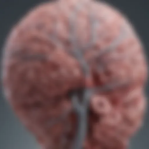 Neuroanatomy highlighting regions affected by Lewy Body Disease