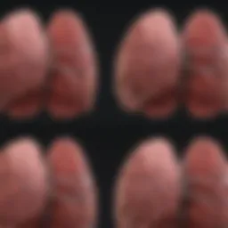 Detailed diagram of lung cancer progression stages