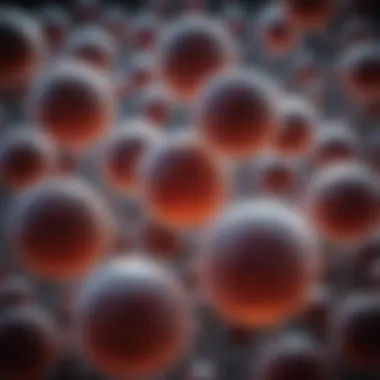 Clinical Implications of Abnormal Lymphocyte Levels Visual representation of abnormal lymphocyte levels and their clinical implications.