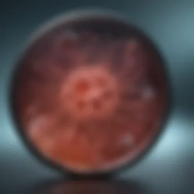 Diagnostic Processes for MRSA Infections Chart depicting diagnostic methods for MRSA