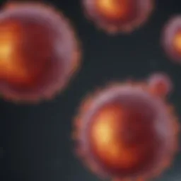 Visual representation of plasma cell abnormalities in multiple myeloma