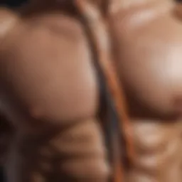 Illustration of muscular structure highlighting fiber composition