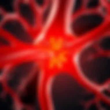 Neuromuscular Junction in Myasthenia Gravis Diagram illustrating the neuromuscular junction