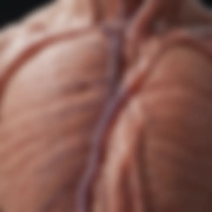 Visual representation of early-stage nephropathy symptoms