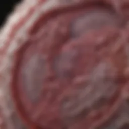 Microscopic view of lung tissue showing non-small cell lung cancer characteristics