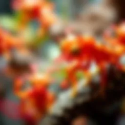 Understanding Organism Evolution: A Comprehensive Research Framework Introduction