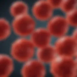 A detailed illustration of red blood cells highlighting polycythemia
