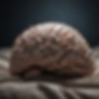 Brainwaves in REM Sleep Visual representation of brain activity during REM sleep