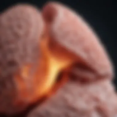 Understanding ROS1 Lung Cancer Symptoms Introduction Understanding ROS1 Lung Cancer Symptoms Introduction