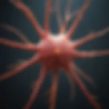 Consequences of Sensory Neuron Dysfunction Conceptual image depicting sensory neuron dysfunction and its effects