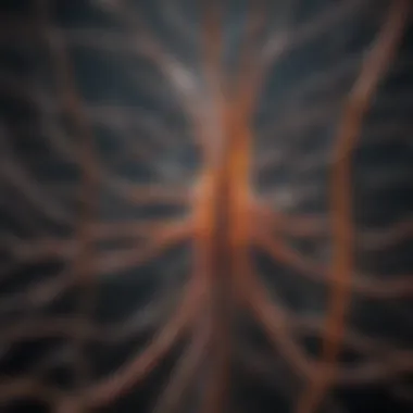 Sensory Pathways in the Nervous System Visual representation of sensory pathways in the nervous system