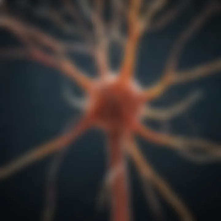 Infographic showcasing different types of sensory neurons