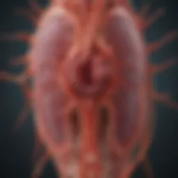 Detailed diagram illustrating the pathophysiology of sepsis and its effects on kidney function