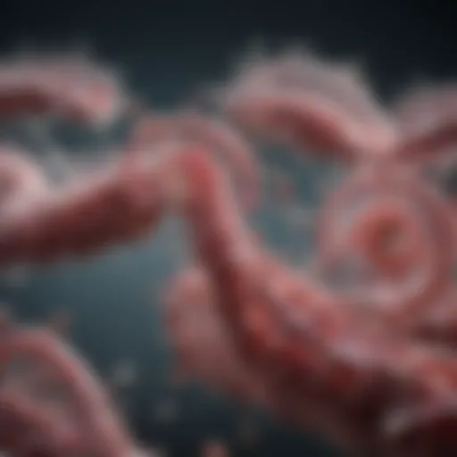 Illustration depicting the genetic mechanisms underlying SMA silent carriers