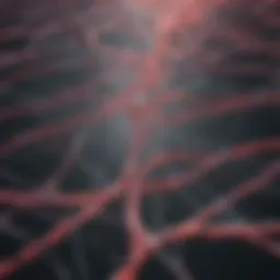 Transmission routes of HIV illustrated