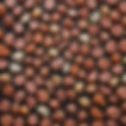 Graphical representation of the macronutrient distribution in a ketogenic diet