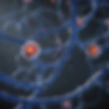 Cobalt Biochemical Pathways Illustration of cobalt's biochemical pathways in the body