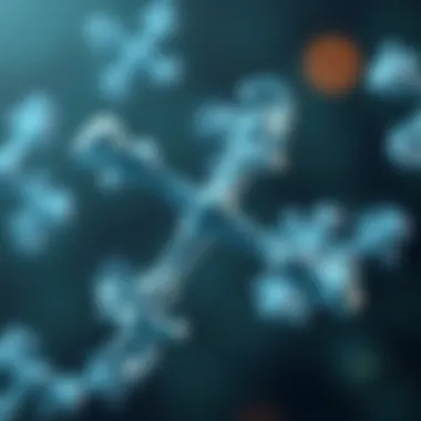 Illustration illustrating the structure of IgM antibody