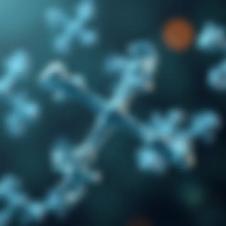 Illustration illustrating the structure of IgM antibody