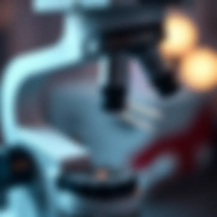 Microscopic examination of a sample for BV testing