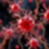 Cellular mechanisms involved in prostate cancer
