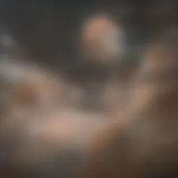 An illustration depicting the immune response activated by vaccination