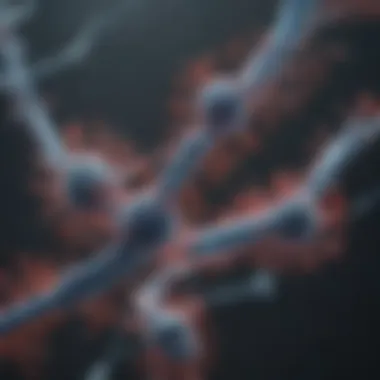 Types of viral vectors in gene therapy
