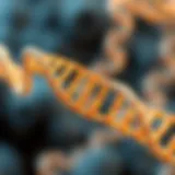 Genetic structure representation illustrating Zellweger Syndrome