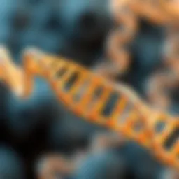 Genetic structure representation illustrating Zellweger Syndrome