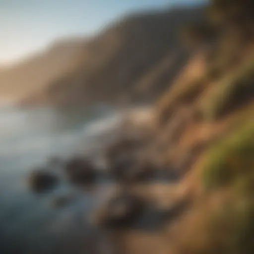 Scenic view of the California coastline with wildlife