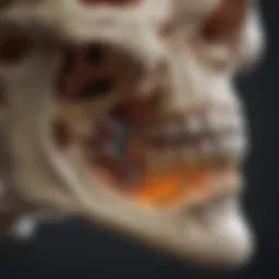 Illustration depicting the effects of VDDR on bone structure