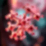 Molecular structure of wonder gel