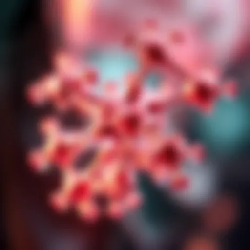 Molecular structure of wonder gel